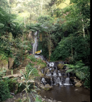 tempat wisata di mojokerto bulan ramadhan 2025