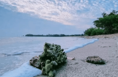 spot foto pantai putri klayar lamongan