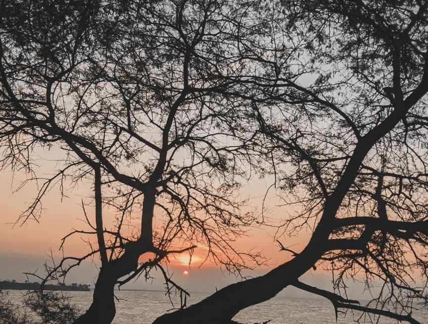 7 Spot Foto Terbaik di Pantai Sowan Tuban untuk Liburan Instagramable 7 pantai sowan tuban