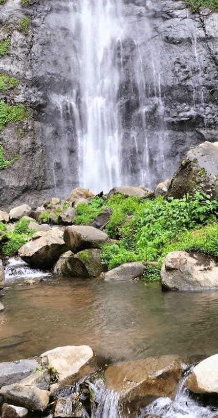 6 Tempat Wisata Jombang Terbaik dan Instagramable untuk Liburan Seru! 7 wisata jombang