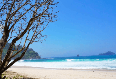 6 Rahasia Keindahan Alam Pantai Sendiki yang Belum Banyak Orang Tahu