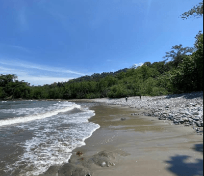 5 Alasan Kenapa Pantai Teluk Hijau Wajib Masuk Wishlist Liburanmu!