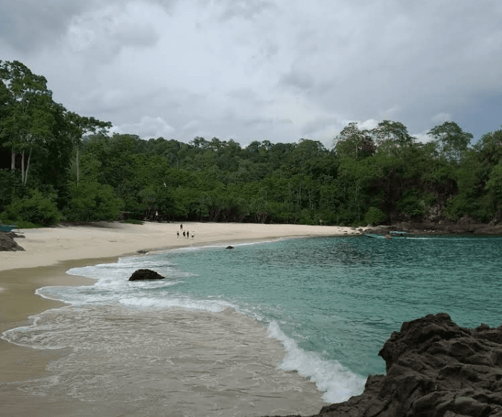5 Tips Penting Sebelum Liburan ke Pantai Rajegwesi, Nomor 3 Nggak Terduga! 3 pantai rajegwesi