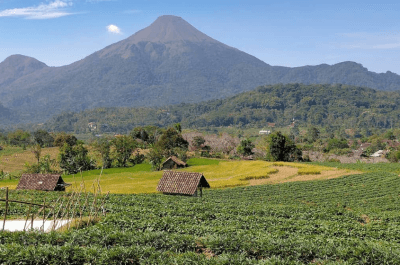 Gunung Penanggungan